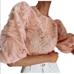 Zara tulle top